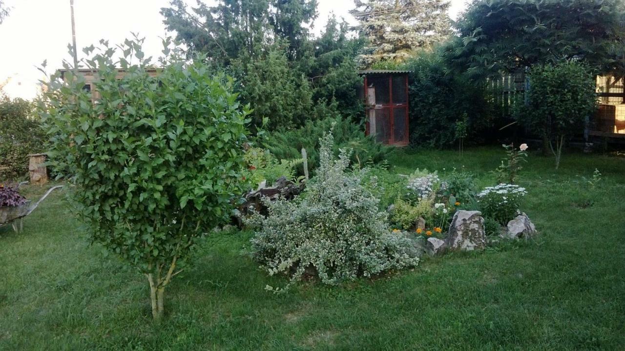 Barnabas Rusnak Ubytovanie V Sukromi Mucin Exterior photo